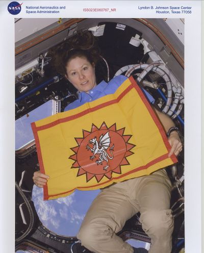 Sun Dragon Flag in Space.jpg